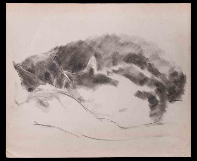 Sleeping Cats 