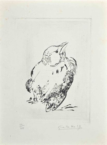 Pigeon