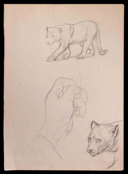 Felines