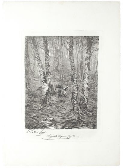 Beeches by  Augusto Sezanne - Modern Artwork