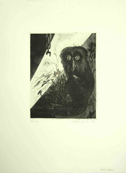The Owl