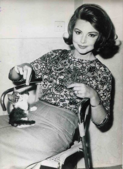Sylva Koscina - Vintage Photo