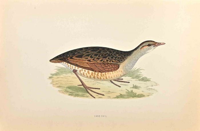 Land-Rail