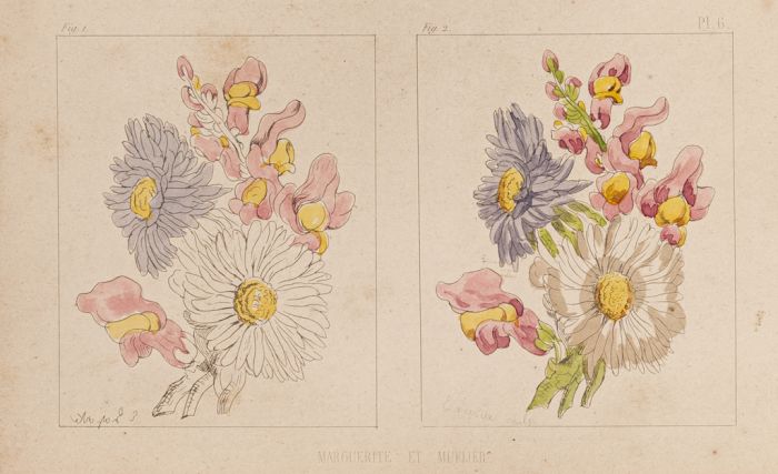 The Flowers by E.Laporte - Contemporary Artwork