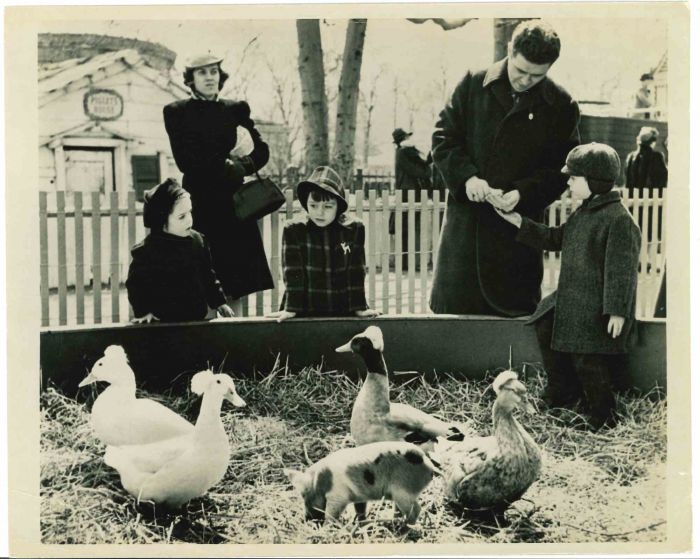 An American Zoological Garden - Vintage Photograph