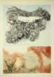 Composition by Leo Guida - Contemporary Artwork
