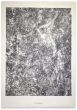 Ontogenese is an original lithograph on watermarked paper "Arc". Abstract composition by the French artist Jean Dubuffet. From the album of "Sols Terries" (1953-1959). In excellent conditions.