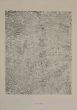 L'eau radieuse by Jean Dubuffet -  Contemporary Art