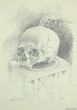 The Skull by Leo Guida - Contemporary Artwork