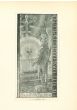 Ex Libris with Knight - Contemporary Artwork