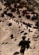 Military in Algeria, Historical Photograph - SOLD