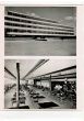 Pan-American Games - American Vintage Photograph