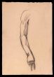 Study For An Arm