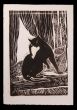 Black Cat by the Window