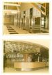 Alitalia - Historical Photos 