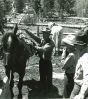 Horse Packing - American Vintage Photograph