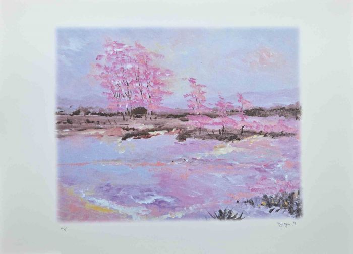 Pink Blossoms