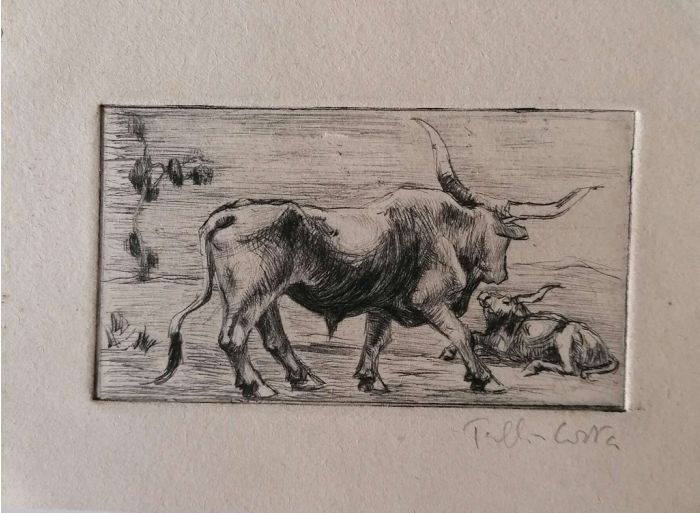 Bulls - Modern Artworks 