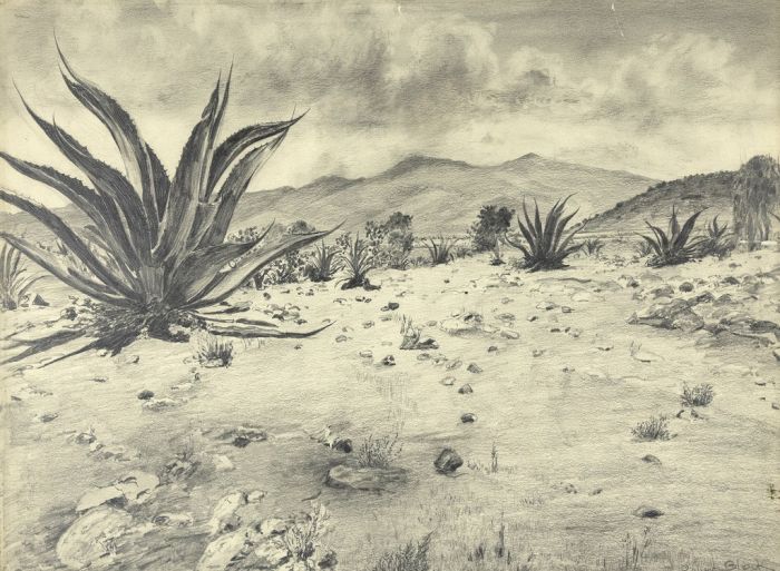 Landscape with agaves by Roberto Block - Modern Artworks