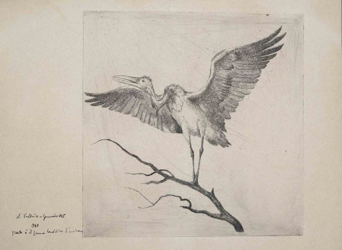 The Bird