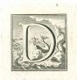 Capital letter for the Antiquities of Herculaneum Exposed