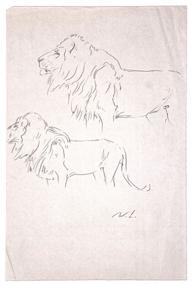 Study of a lion by Wilhelm Lorenz