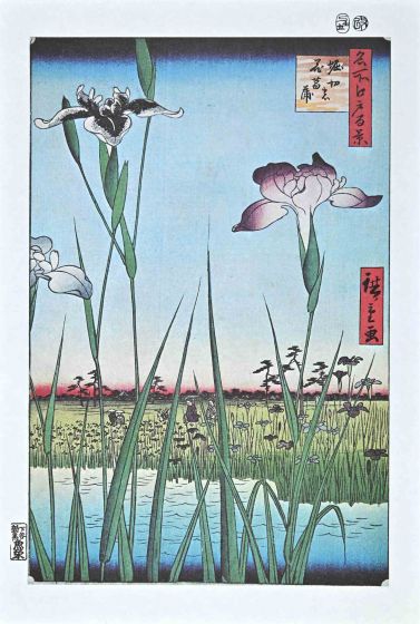 After Utagawa Hiroshige - Iris Garden - Modern Artwork