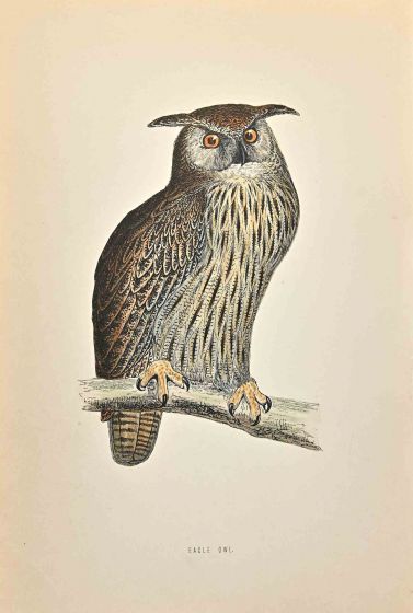 Eagle Owl