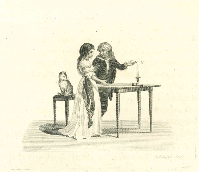 Daily Life Scene