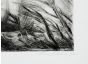 Two Lake Landscapes by Anonymus - Contemporary Artworks