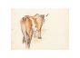 Countryside by Jean-Raym Delpech- Modern Artwork