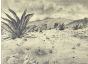 Landscape with agaves by Roberto Block - Modern Artworks