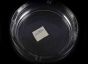 Glass Ashtray