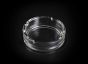Glass Ashtray