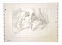 Adam and Eve