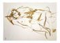 Reclined Nude