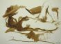 Reclined Nude