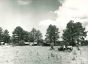 Digging Camp - American Vintage Photograph