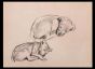 Puppies