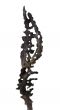 SIlver Composition by Nino Franchina - Decorative Objects