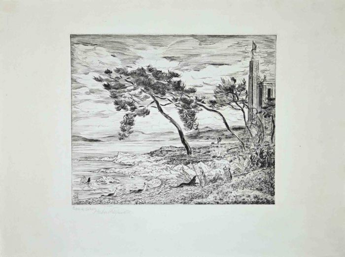 The Windy Shore