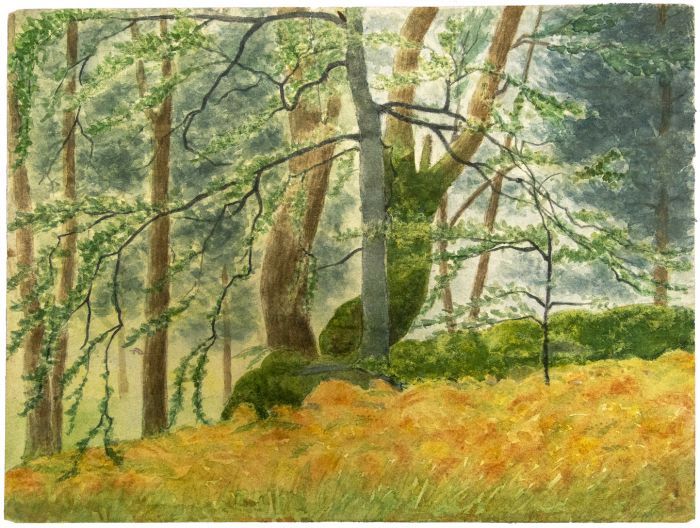 Landscape - SOLD