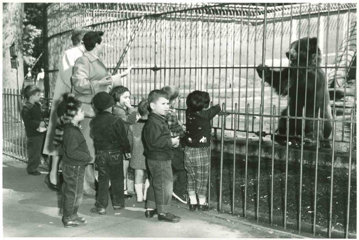Play School - American Vintage Photograph