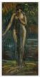 Woman in the Wood