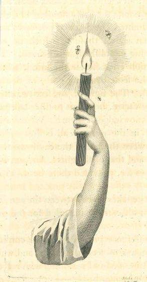 Arm of a Man