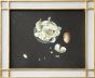 Broken Egg by Mirror - Contemporary Artwork