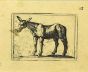 Mule by Antonio Tempesta - Artwork 