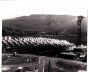 The Solar Panels