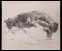Sleeping Cats 