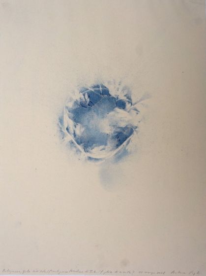 Hemlock Leaves by Andrea Fogli - Contemporary Artworks